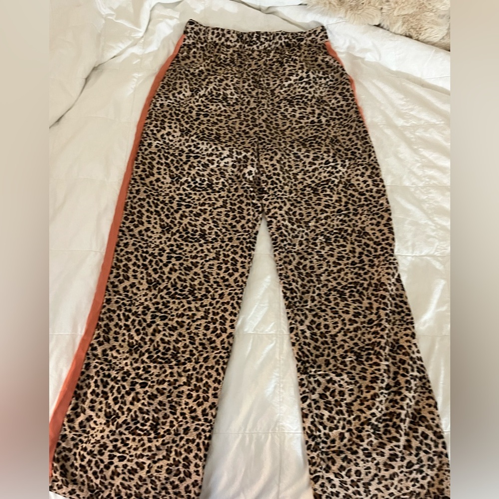 BB Dakota Leopard Print Pants with Bold Stripe
